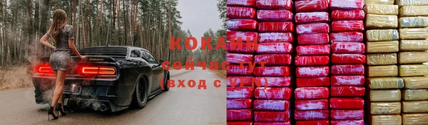 дживик Новодвинск